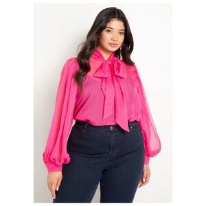 Pink Sheer Blouse with bow